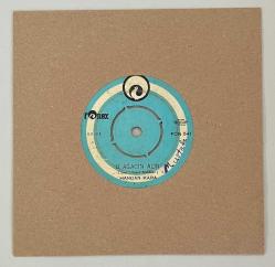 Handan Kara Bir Garip Yolcu - O Ağacın Altı 45 lik Plak (Orijinal Dönem Baskı Plak)