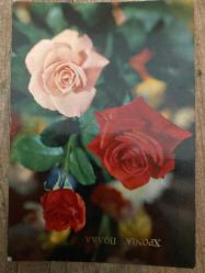 Kırmızı ve pembe gül Sevgi Temalı Rumca Yazılı Yunanistan Kartpostal 15 x10 ebatında