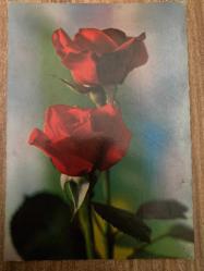 Kırmızı gül Sevgi Temalı Rumca Yazılı Yunanistan Kartpostal 15 x10 ebatında