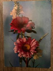 Kırmızı gül Sevgi Temalı Rumca Yazılı Yunanistan Kartpostal 15 x10 ebatında