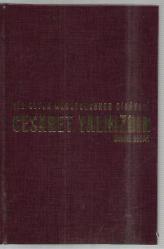 Cesaret Yalnızdır - Bir Ultra Maratoncunun Hikayesi