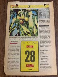 28 KASIM 1980 - TAKVİM YAPRAĞI - DOĞUM GÜNÜ HEDİYESİ - HÜRRİYET TAKVİMİ - ESKİ BİR ŞARKI ADLI ROMAN - Şapka Devrimi nin yürürlüğe girişi (1925)
