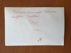 MOĞOLLAR MÜZİK GRUBUNUN ORİJİNAL 2'Lİ FOTOĞRAF SETİ - 18 x 12 cm EBADINDA - MOĞOLLAR PLAKLARINI ALMANYA'DAKİ BALIKÇILARA DAĞITTILAR, MOĞOLLAR'DAN 2 FARKLI KARE, CAHİT BERKAY, ENGİN YÖRÜKOĞLU, TANER ÖNGÜR, AYZER DANGA
