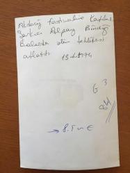 BESTECİ ve ŞARKICI ALPAY'IN ORİJİNAL FOTOĞRAFI (Ahmet Alpay Nazikoğlu) - 18 x 12 cm EBADINDA - ALPAY ÖLÜM TEHLİKESİ GEÇİRDİĞİ BALONA BİNDİĞİ SIRADA ÇEKİLMİŞ BİR KARE, 13 HAZİRAN 1974