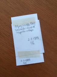 BESTECİ ve ŞARKICI ALPAY'IN OĞLU TULUĞ NAZİKOĞLU'NUN ORİJİNAL FOTOĞRAFI (Ahmet Alpay Nazikoğlu) - 9 x 5 cm EBADINDA - 1 TEMMUZ 1989