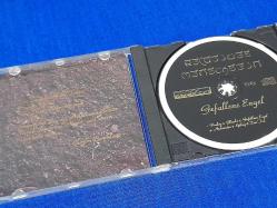 RELATIVES MENSCHSEIN GEFALLENE ENGEL MÜZİK CD