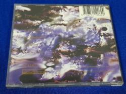 RELATIVES MENSCHSEIN GEFALLENE ENGEL MÜZİK CD