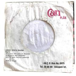 Kış Ortası Yavrularım - Gel Başkente / İsmail İpek - 45'lik plak