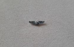 AMERİKAN HAVA KUVVETLERİ ASKERİ PİLOT BRÖVESİ - ROZETİ -  MADALYA ( YAKA BOY ) C1342