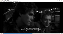 siyam balığı dvd  (PC'de izlenmiştir/denenmiştir)   matt dillon mickey rourke nicholas cage  (rumble fish)