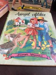 Ayşegül uçakta ve Ayşegül çiftlikte