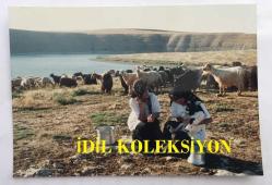 ŞARKICI CEYLAN'IN ORİJİNAL FOTOĞRAFI (KÜÇÜK CEYLAN, CEYLAN AVCI) - 12,5 x 9 cm EBADINDA - KÜÇÜK CEYLAN ŞANLIURFA'DA KUZULARIN ARASINDA KLİP ÇEKİMİNDEYKEN, 18 HAZİRAN 1987