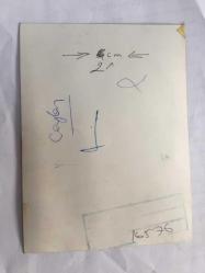 ŞARKICI CEYLAN'IN ORİJİNAL FOTOĞRAFI (KÜÇÜK CEYLAN, CEYLAN AVCI) - 15 x 12 cm EBADINDA - KÜÇÜK CEYLAN KADRAJA POZ VERİRKEN (CEYLAN'IN ÇEVRESİ BEYAZ BOYA İLE İŞARETLENMİŞ)