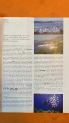 FOOD TRAVEL DERGİSİ - KASIM 2010 -   SEVVAL SAM – MUHSIN AKGÜN – MURATHAN MUNGAN – YILDIRIM TÜRKER – TÜMAY YAZICI – ARZU YAYINTAŞ – DESSISLAVA DIMOVA – MEHMET ÖMÜR – FIGEN ÇİFTÇİ – NELL HANNON – AYSUN ÇETİN – PRISCILLA MARY IŞIN – OĞUZ ERKARA – HÜSEYİN BÖLÜK – DEMET KALABAK – YELDA DIRK WRUDNICZKI    -   – GURME SEYAHAT KAHiRE – FATİH: İSTANBUL'UN GÖBEĞİNDE BİR LEZZET HAZİNESİ – EDEBİYAT KENTLERİ: DUBLIN – OXFORD – BURGAZADA – RİTMİN KENTİ: BUENOS AIRES – SİHİRLİ BALKABAĞI – DÜNYANIN TÜM KURABİYELERİ – KAZDAĞLARI'NIN EN ÖZEL OTELLERİ – AJANDANOTLARI – KASIM AYI ETKİNLİKLERİ – ŞEVVAL SAM’LA MEYHANE KÜLTÜRÜ – YALOVA TERMAL OTEL – ŞİFA VE KONFOR – STELLENBOSCH – DELAIRE GRAFF LODGES – CASCAIS – OITAVOS OTEL – ANTRE GOURMET VE CİHANGİR’DE LEZZET DURAKLARI – TÜRK MUTFAĞININ DÜNYA TURU – VOGUE RESTAURANT & BAR – YENİLENEN YÜZÜ – CHILAI – BEBEK’TE YENİ BİR MEKAN – 2. ULUSLARARASI ANTAKYA BİENALİ – AĞA HAN MÜZESİ’NİN HAZİNELERİ SERGİSİ – GIDA GÜVENLİĞİ KONGRESİ – OSMANLI MUTFAK SÖ - 130 SAYFA