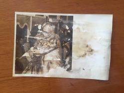 ŞARKICI CEYLAN'IN ORİJİNAL FOTOĞRAFI (KÜÇÜK CEYLAN, CEYLAN AVCI) - 18 x 12 cm EBADINDA - AÇIKLAMAYI OKUYUNUZ