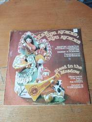 STEED IN THE MEADOW * SOLOIST QUARTET OF THE OSSIPOV RUSSIAN FOLK ORCHESTRA * DIRECTED by V. IONCHENKOV * 1990 BASKI LONGPLAY