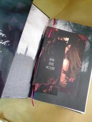 Adeline'ın Peşinde (Ciltli)