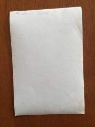 BEYAZ PERDENİN PRENSİ, YEŞİLÇAM'IN YILDIZ OYUNCUSU SALİH GÜNEY'İN ORİJİNAL 2'Lİ FOTOĞRAF SETİ - 18 x 12 cm EBADINDA - SALİH GÜNEY ve ARZU OKAY AĞAÇLARIN ALTINDA BİRLİKTE POZ VERİRLERKEN ÇEKİLMİŞ 2 FARKLI KARE