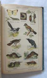 Les Sciences Physiques et Naturelles