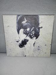 Cd Kafabindünya Obi Kafa bindünya 2012 Orijinal.