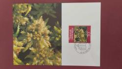 1981 YILI LİECHTENSTEİN YOSUNLAR VE LİKENLER  MAXİMUM KART