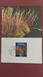 1981 YILI LİECHTENSTEİN YOSUNLAR VE LİKENLER  MAXİMUM KART