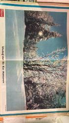 HAYAT DERGİSİ - 22 ARALIK 1977 KAPAK: ZARO AĞA - HALE SOYGAZİ - KAPTAN COUSTEAU - ALİ DİNÇER - GÖRSEV KOTİL ZARO AĞA’NIN ÖĞÜDÜ VE OTOPSİSİ - GÜNEŞ ENERJİLİ OTO - ZARARLI İLAÇ ALIŞKANLIĞI - İÇKİDEN NASIL VAZGEÇİLİR - KAPTAN COUSTEAU GÜNEY KUTBU'NDA - FOK KATLİAMI - YENİ ENERJİ ARAYIŞLARI - SİNEMA, TİYATRO, MÜZİK PANORAMASI - ANKARA BELEDİYE BAŞKANI ALİ DİNÇER - GÖRSEV KOTİL'İN BAŞKAN EŞİ ROLÜ - SEÇİMDE SANDIĞA GİTME İSTEĞİ NEDEN AZ? - AHMET AĞAOĞLU HATIRALARI - TURHAN SULTAN DİZİSİ - BATI KÜLTÜRÜ ANSİKLOPEDİSİ - SATRANÇ KÖŞESİ BAŞLIYOR - FOTOĞRAF YARIŞMASI SONUÇLANDI - ATATÜRK'ÜN ANILARI (11) - KÖRDÜĞÜM (11) - TEST - DOKTORUNUZA SORUN - SİZDEN BİZE - CEMİYET - MİZAH - BULMACA HAYAT - İSTANBUL - ANKARA - GÜNEY KUTBU - VİYANA - OSMANLI SARAYI - SİYASİ SEÇİM GÜNLÜĞÜ - BATI KÜLTÜRÜ - BURSA - ISVİÇRE - ALMANYA - BELÇİKA - HOLLANDA - AVUSTURYA - SEZEN AKSU - İZZET GÜNAY - ZEKİ MÜREN - HALDUN DORMEN - TARIK DURSUN K. - MUSTAFA AKÖZ - VEHBI DİNÇCAN - FERYAL OSKAY SEZEN - POSTERLİ - 58 SAYFA