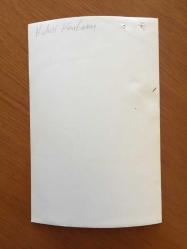 YEŞİLÇAM'IN EFSANESİ HULUSİ KENTMEN'İN ORİJİNAL FOTOĞRAFI - 18 x 12 cm EBADINDA - HULUSİ KENTMEN DENİZCİ PAŞA ÜNİFORMASIYLA POZ VERİRKEN ÇEKİLMİŞ BİR KARE