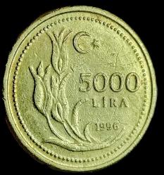 1996 5000 Lira (kalın)