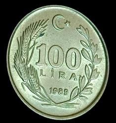 1989 100 Lira Çil