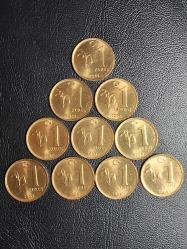 2009 YILI 1 KURUŞ 10 LU SET  ÇİL TCM 0252