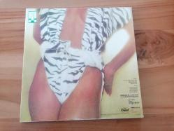 DIANA ROSS – WHY DO FOOLS FALL IN LOVE, 33'LÜK LONG PLAY, 1981 ABD BASKI