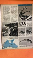 HAYAT DERGİSİ - 7 AĞUSTOS 1959 KAPAK : ŞEVKET RADO - HIKMET FERIDUN ES - IBRAHIM ÇAMLI - POSTER : VINCENT VAN GOGH - SADUN ALTUNA - HIKMET ANDAÇ - AYHAN ERER - ORAL ORHON - ADRIANA FLORENTINI - AKIKO KOJIMA - GONGÖR AKKAN - KENAN OZBEL İŞTE KARADENİZ - 1959'UN GÜZELLERİ - VAN GOGH'UN KAYIKLAR TABLOSU - DÜNYA GÜZELLİK YARIŞMASI - ŞİLE'DE HALI KURSU - TÜRK FOLKLOR EKİBİ - TELESKOP BAŞARISI - SEVMEK VE ACIMAK - EVA BARTOK - FREDERICK SANDS - ADNAN SADRI - ŞEVKET RADO - HIKMET FERIDUN ES - IBRAHIM ÇAMLI - SADUN ALTUNA - HIKMET ANDAÇ - AYHAN ERER - ORAL ORHON - ADRIANA FLORENTINI - AKIKO KOJIMA - KENAN OZBEL YAŞASIN HAYAT - BENİM DE KÜÇÜK BİR YUVAM OLSA - İŞTE KARADENİZ - KARADENİZİN SAKİNLERİ - KARADENİZİN MANZARASI - 1959'UN GÜZELLERİ - VAN GOGH'UN KAYIKLAR TABLOSU - DÜNYA GÜZELLİK YARIŞMASI - ŞİLE'DE HALI KURSU - TÜRK FOLKLOR EKİBİ - TELESKOP BAŞARISI -  30 SAYFA