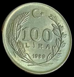 1989 100 Lira Çil