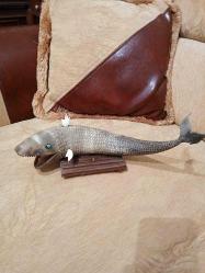 BOYNUZ,BUFOLO BOYNUZU EL İŞÇİLİĞİ TROPİKAL BALIK FORMUNA GETİRİLMİŞ UZUNLUK : 32 CM.