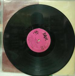 ERCAN TURGUT - Delifişek - LP - 33'lük Plak (Dönem Baskı)