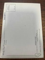 Chıcago Kartpostal 15x10.5 ebatında