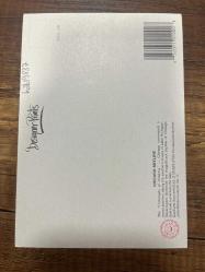 Chıcago Kartpostal 15x10.5 ebatında