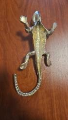 PİRİNÇ KERTENKELE