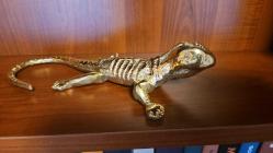 PİRİNÇ KERTENKELE