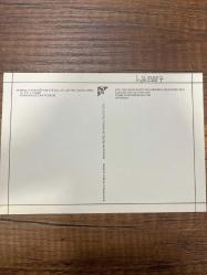 Sıraltı tekniğinde stilize gül motifli İznik çinisi 16.yy 2 . Yarısı Hürrem sultan türbesi  Kartpostal 15x10  ebatında