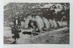 Anadolu'da Bir Hekim Albert Eckstein / A Pediactrician in Anatolia Albert Eckstein