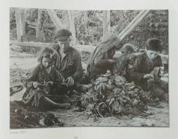 Anadolu'da Bir Hekim Albert Eckstein / A Pediactrician in Anatolia Albert Eckstein