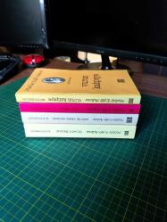 Kalp Ağrısı - Vurun Kahpeye - Türk'ün Ateşle İmtihanı - Sinekli Bakkal (4 Kitap)