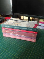 İthaki Japon Klasikleri (5 Kitap)
