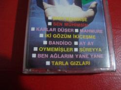 ZİRVEDEKİLER GENÇ SESLERLE LMAN BASKI DESTAN NADİRR