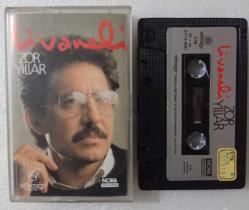 ZÜLFÜ LİVANELİ / Zor yıllar