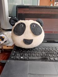 Peluş panda formunda CD -DVD kutusu içinde CD var