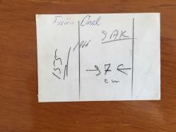 FÜSUN ÖNAL'IN ORİJİNAL FOTOĞRAFI - 10 x 7,5 cm EBADINDA - FÜSUN ÖNAL, ANNESİ FİKRET ÖNAL ve DİĞER SEVDİKLERİYLE HATIRA POZU VERİRKEN ÇEKİLMİŞ BİR KARE