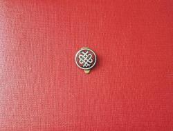 ESKİ - DÜNYA TIP ROZETİ - MADALYA ( SICAK MİNELİ MODEL )  C1673